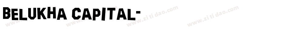 Belukha Capital字体转换